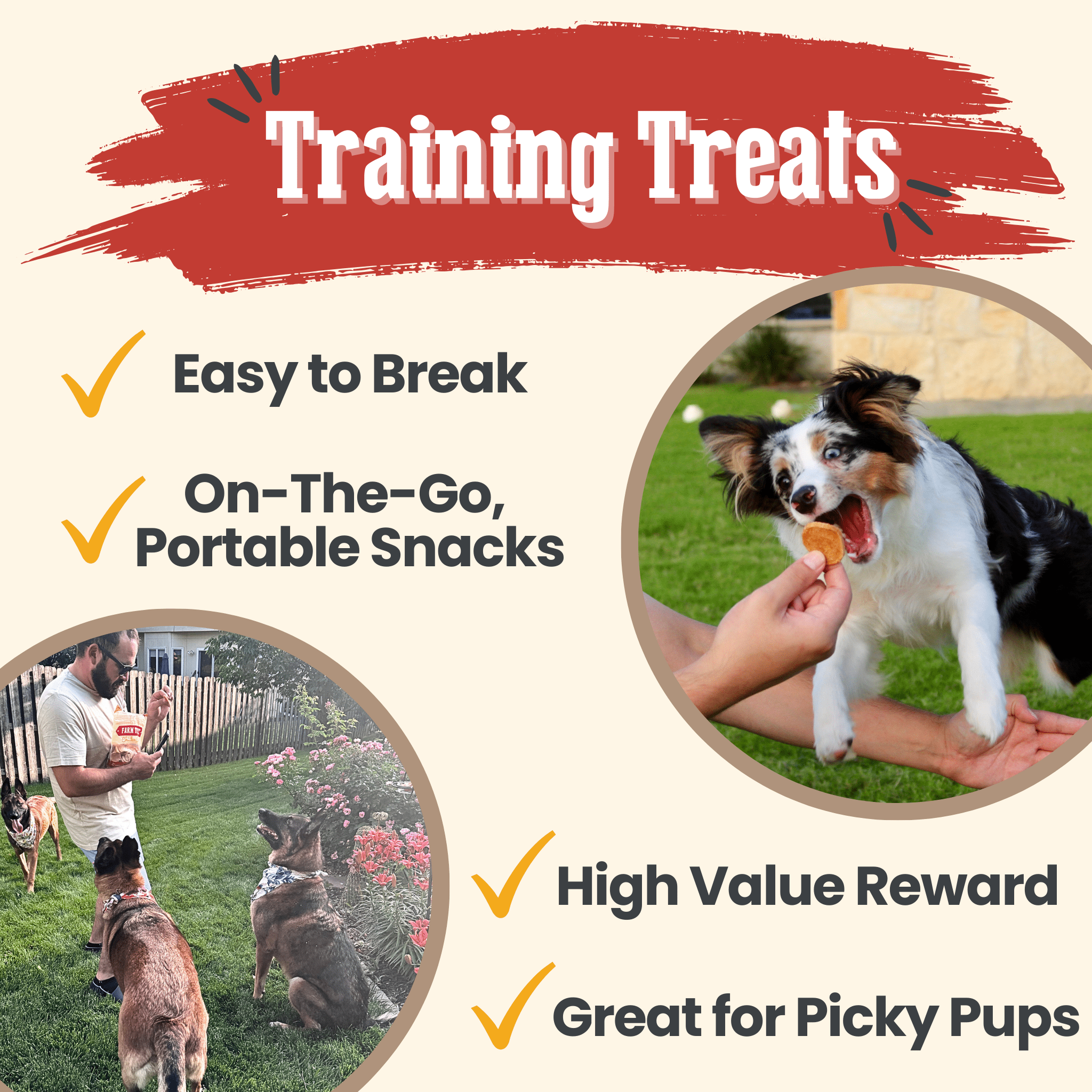 Farm to Pet Chicken Chips — Single-Ingredient Dog Treats