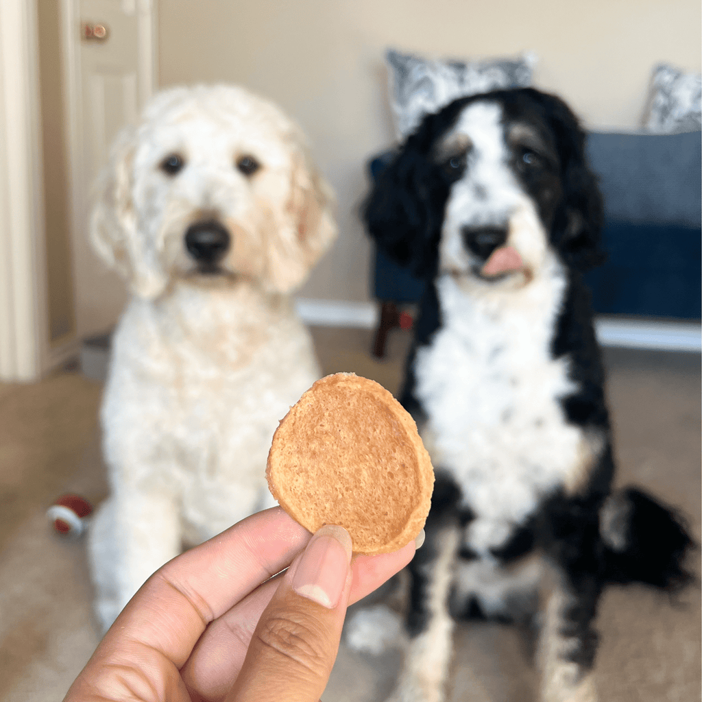 Farm to Pet Chicken Chips — Single-Ingredient Dog Treats