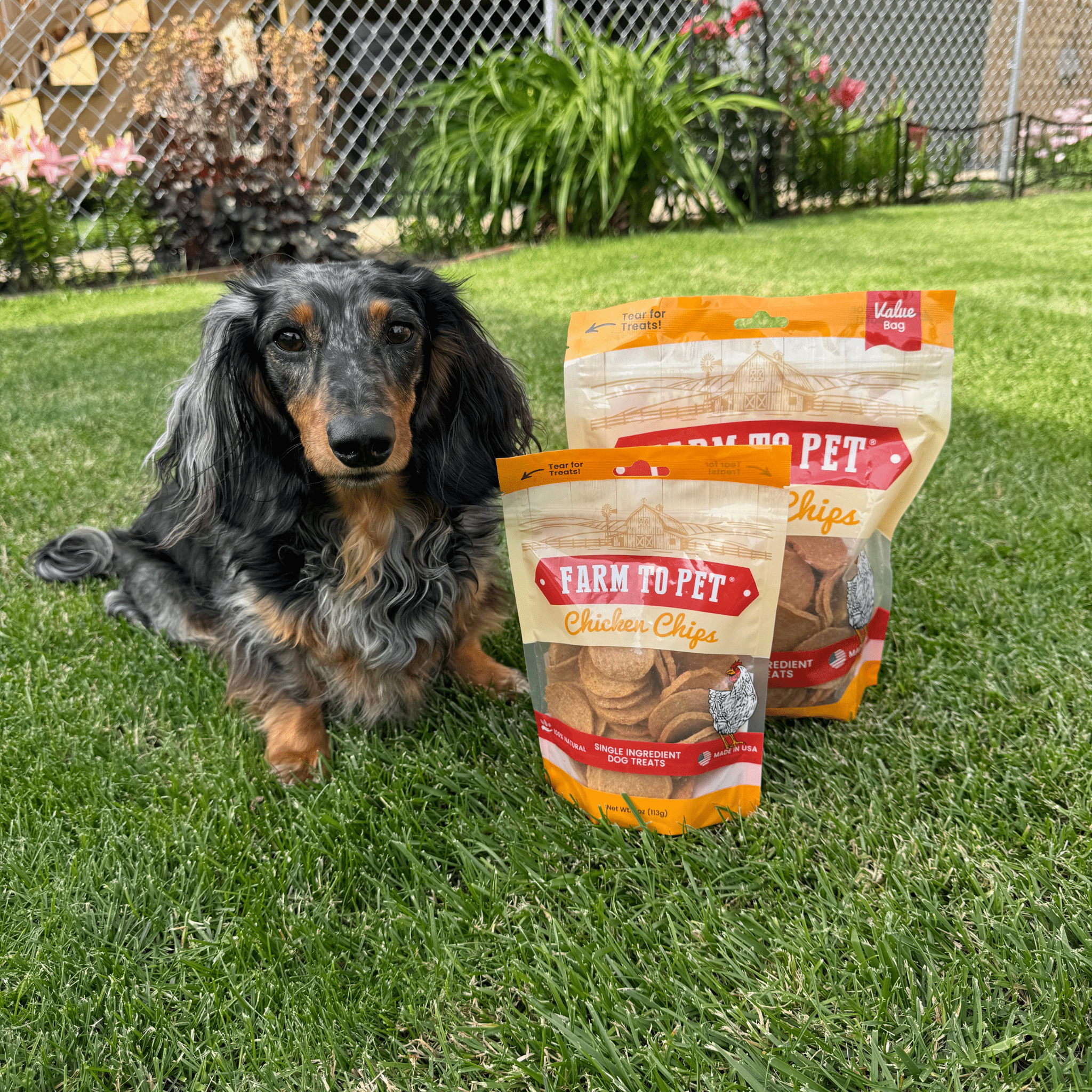 Farm to Pet Chicken Chips — Single-Ingredient Dog Treats